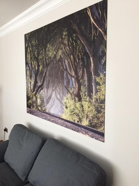 באליקאסל Dark Hedges Cottage מראה חיצוני תמונה